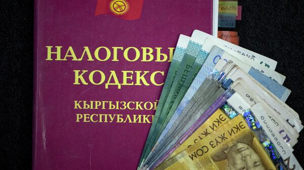 Многие кыргызстанцы возмущены налоговыми каникулами для блогеров
