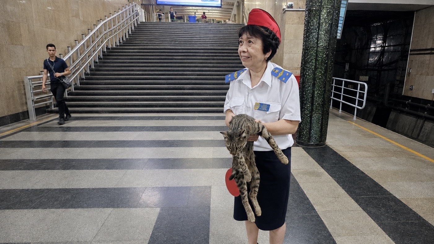 В ташкентском метро спасли кота, вышедшего на пути