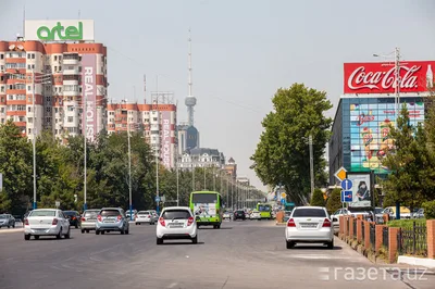 Бизнес-омбудсман вступился за предпринимателей в споре из-за рекламы на крышах домов в Ташкенте