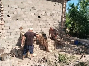 После критики в соцсетях в Ургенчском районе начали строить современный центр для бездомных животных