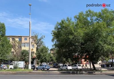 В Узбекистан придет прохлада. Синоптики пообещали снижение температуры до 30 градусов. Видео