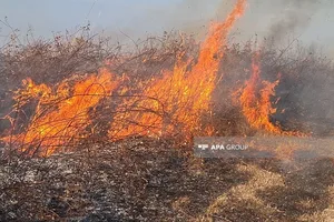 Пожар на открытой местности в Сабунчинском районе Баку потушен-ОБНОВЛЕНО
