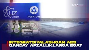 Какие преимущества имеет интегрированная АЭС?