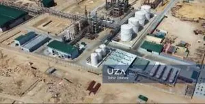 Бухара может стать одним из центров нефтехимической промышленности