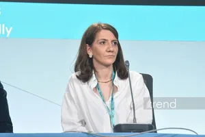 Опыт Азербайджана показывает важность гибких моделей ГЧП в жилищной сфере - директор PwC