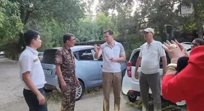 Экологи прокомментировали сообщения о заболевших деревьях в Юнусабаде