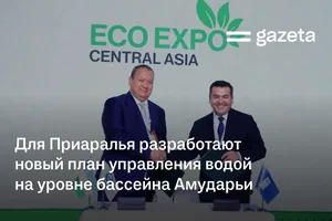 Для Приаралья разработают новый план управления водой на уровне бассейна Амударьи