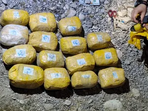 Пограничники задержали крупную партию наркотиков на кыргызско-таджикской границе