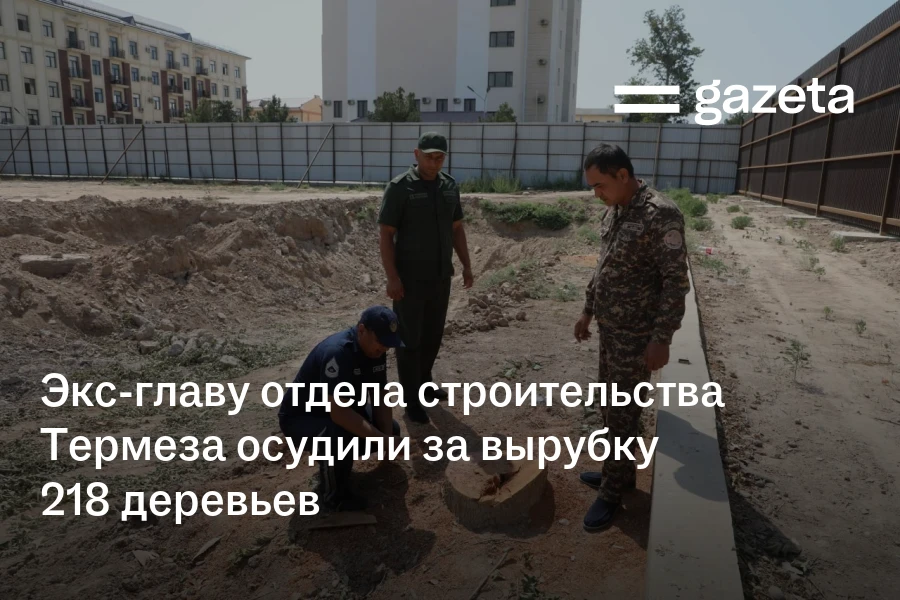 Экс-главу отдела строительства Термеза осудили за вырубку 218 деревьев
