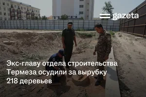 Экс-главу отдела строительства Термеза осудили за вырубку 218 деревьев