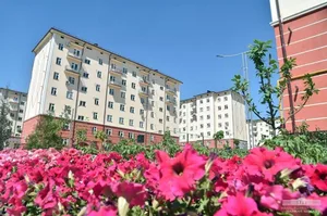 Самые ухоженные квартиры и дворы Узбекистана получат налоговые льготы