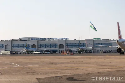 Авиационный бум в Центральной Азии: почему статус хаба для Узбекистана пока не гарантирован — BCG