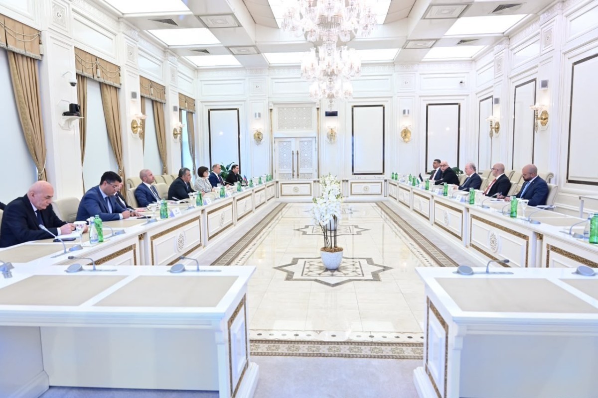 Глава Милли Меджлиса приняла премьер-министра Палестины