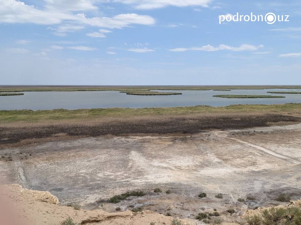 Вода, которую нужно оставить природе. Что увидели журналисты в экспедиции по Приаралью