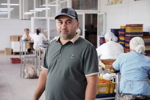 Урожай абрикосов в Согде может упасть на 80%: производители винят погоду