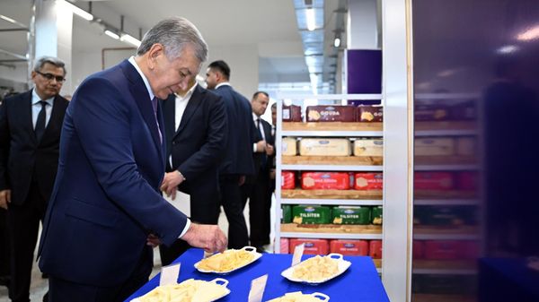 Мирзиёев посетил предприятие по производству молочной продукции в Ургенчском районе
