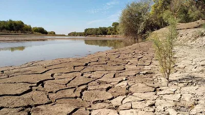 Всемирный банк выделит 20 миллионов долларов на спасение водных ресурсов стран ЦА