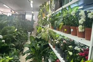 Минсельхоз проверил агроаптеки и цветочные магазины Каракола на соблюдение фитосанитарных требований