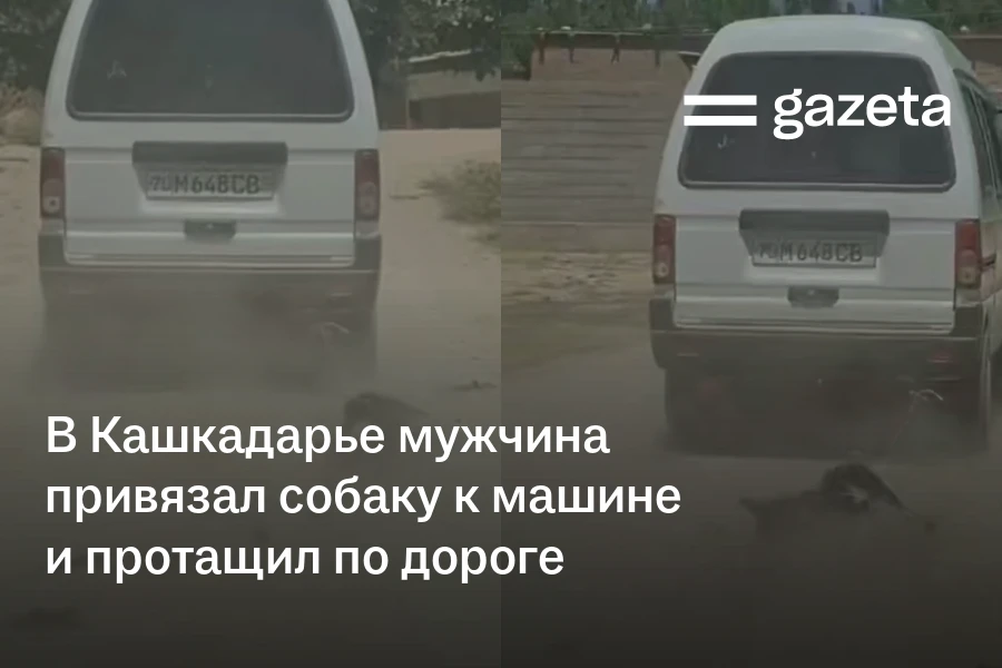 В Кашкадарье мужчина привязал тело собаки к машине и протащил по дороге