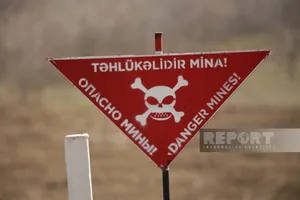 ANAMA: На освобожденных территориях за неделю от мин очищено около 1,6 тыс. га