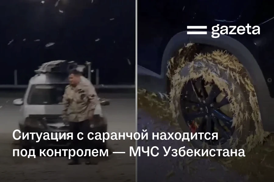 Ситуация с саранчой находится под контролем — МЧС Узбекистана