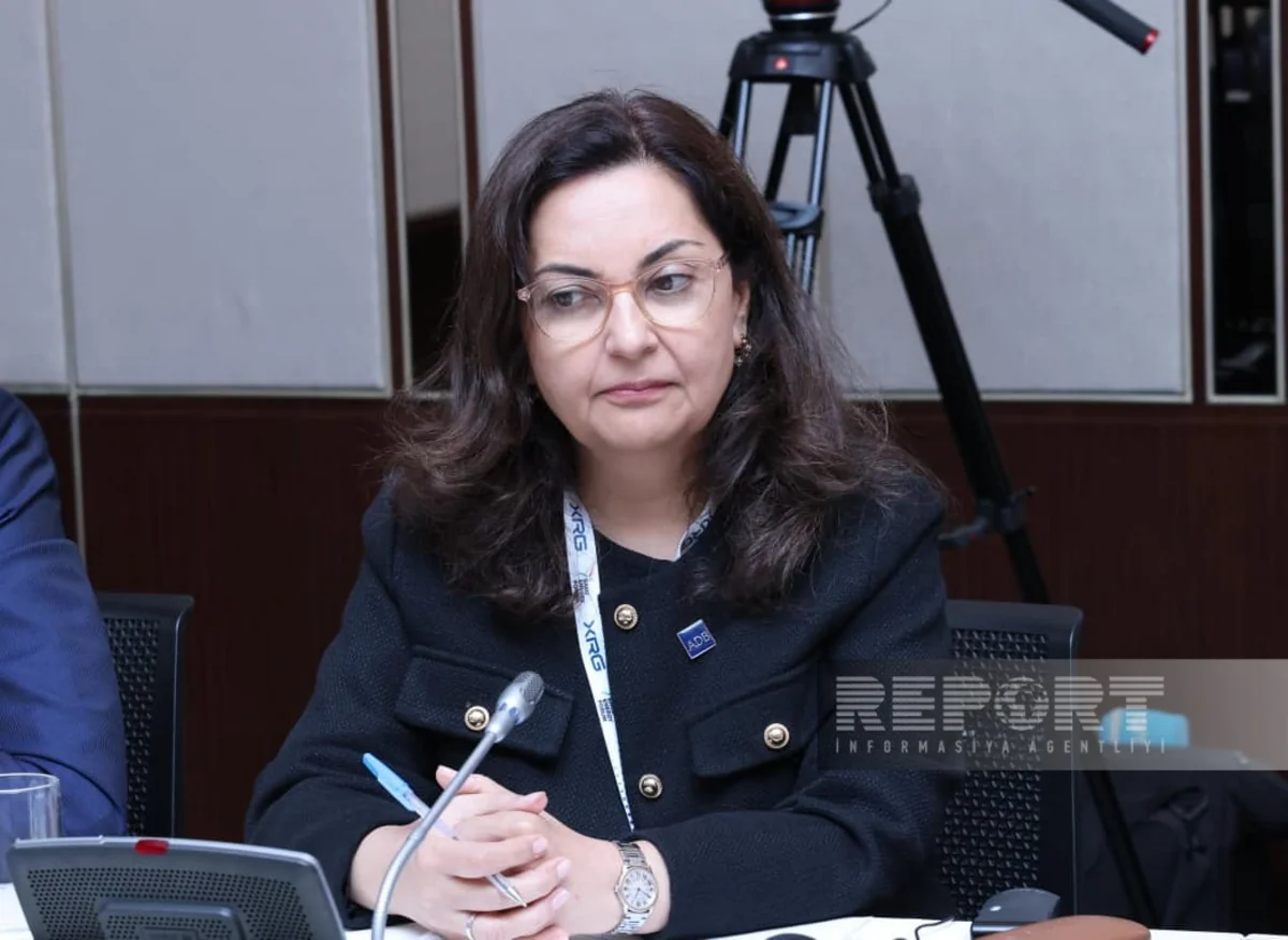 Дуррани-Джамал: АБР надеется на расширение сотрудничества с Азербайджаном в энергетике