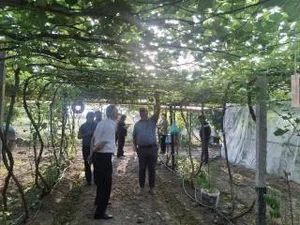 Узбекистан и Латвия запускают проект по развитию занятости в сельской местности