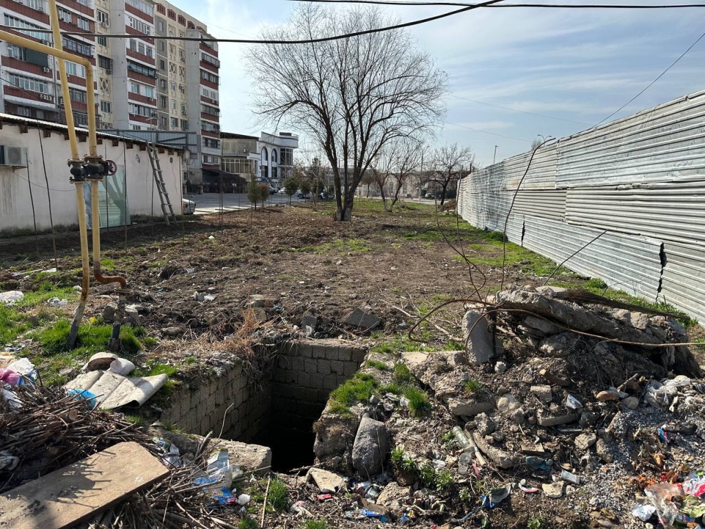 Экологи проверили сообщения о вырубке 400 деревьев в Ташкенте. Видео