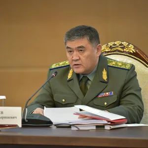 Задержан зять Камчыбека Ташиева — источники