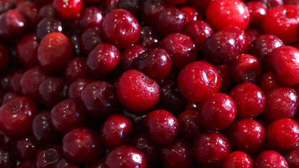 Какой продукт снижает мочевую кислоту