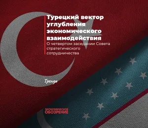 Турецкий вектор углубления экономического взаимодействия
