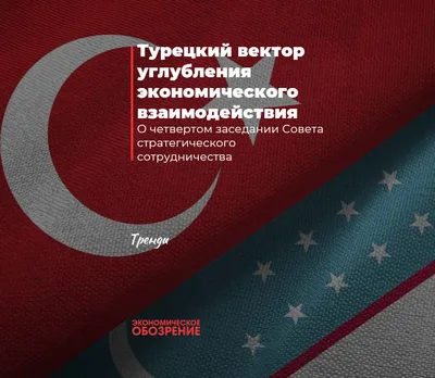 Турецкий вектор углубления экономического взаимодействия