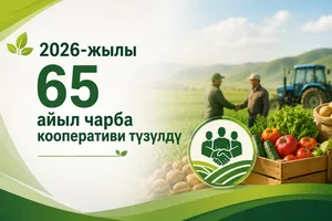 В 2026 году создано 65 сельскохозяйственных кооперативов