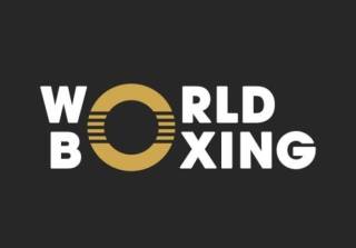 Четыре наших боксера - участники  “World Boxing”