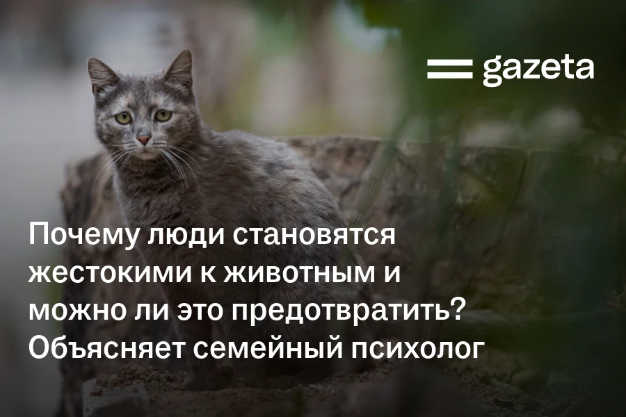 Почему люди становятся жестокими к животным и можно ли это предотвратить? Объясняет семейный психолог