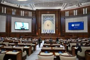 Началось заседание Сената