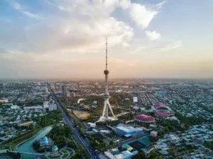 В каких сферах жители столицы заняты больше всего?